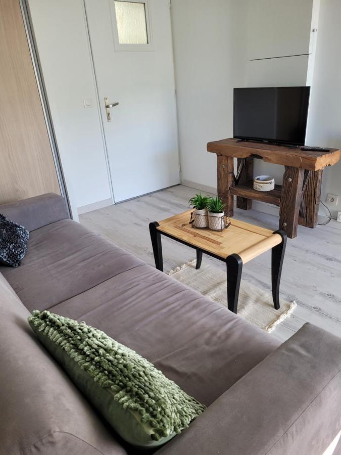 Tahiti Beach, T2 A La Mer, Piscine, Terrasse Et Parking فرونتينيان المظهر الخارجي الصورة