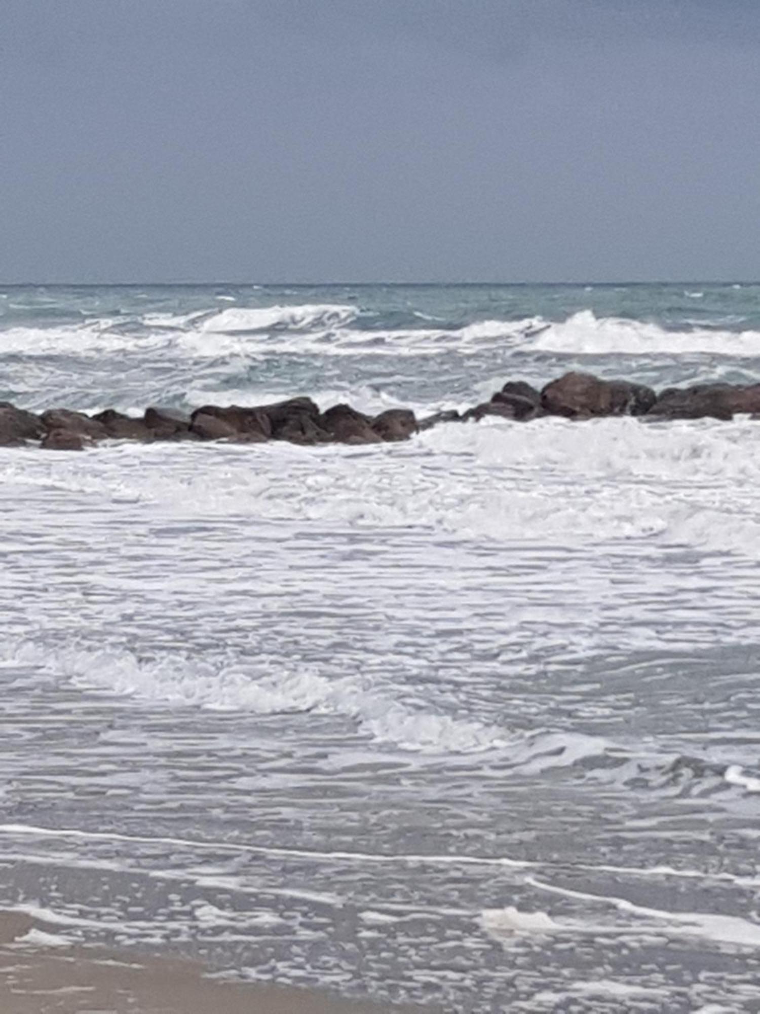 Tahiti Beach, T2 A La Mer, Piscine, Terrasse Et Parking فرونتينيان المظهر الخارجي الصورة